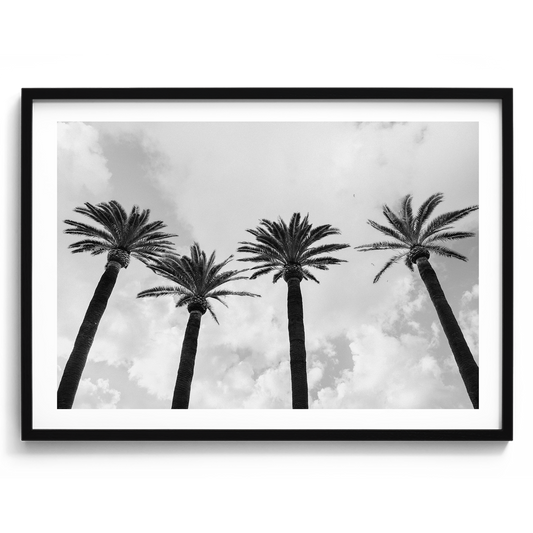 Italy Palms - Sorrento IV B&W - Wall Art