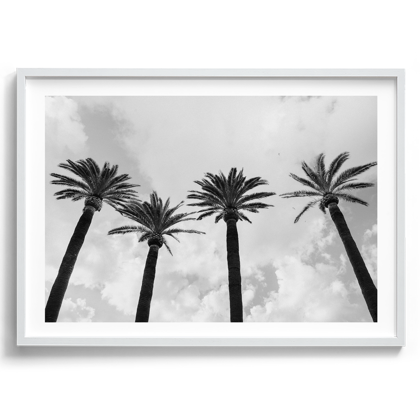 Italy Palms - Sorrento IV B&W - Wall Art