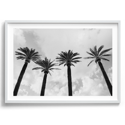 Italy Palms - Sorrento IV B&W - Wall Art
