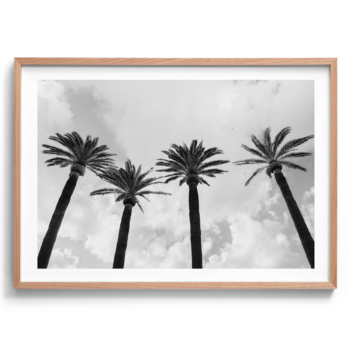 Italy Palms - Sorrento IV B&W - Wall Art