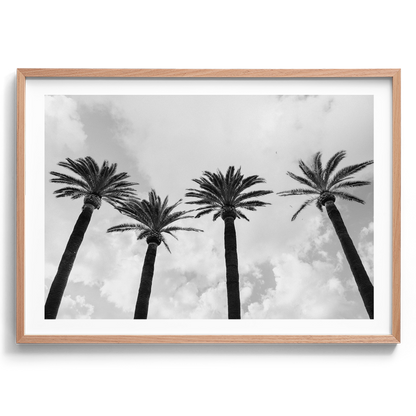 Italy Palms - Sorrento IV B&W - Wall Art