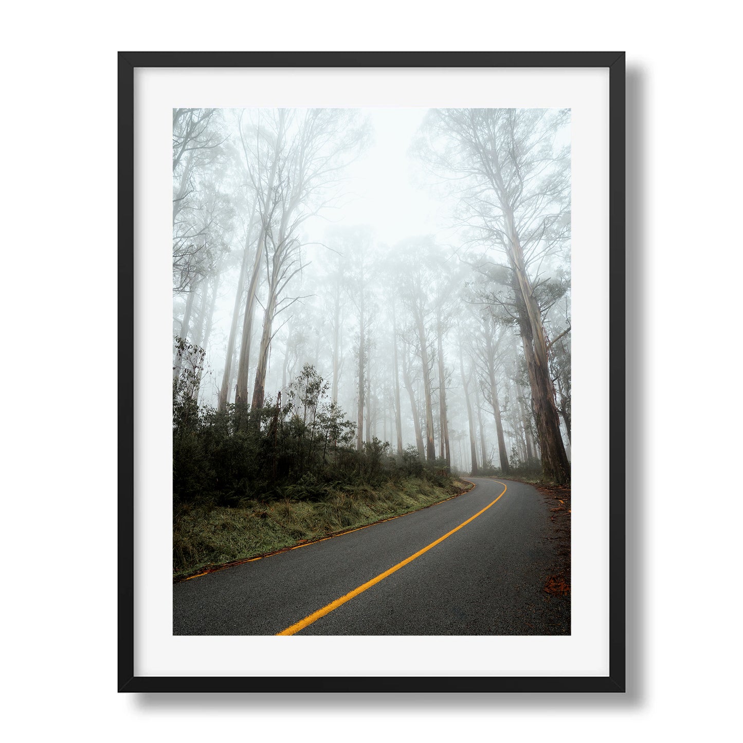 Marysville Foggy Road