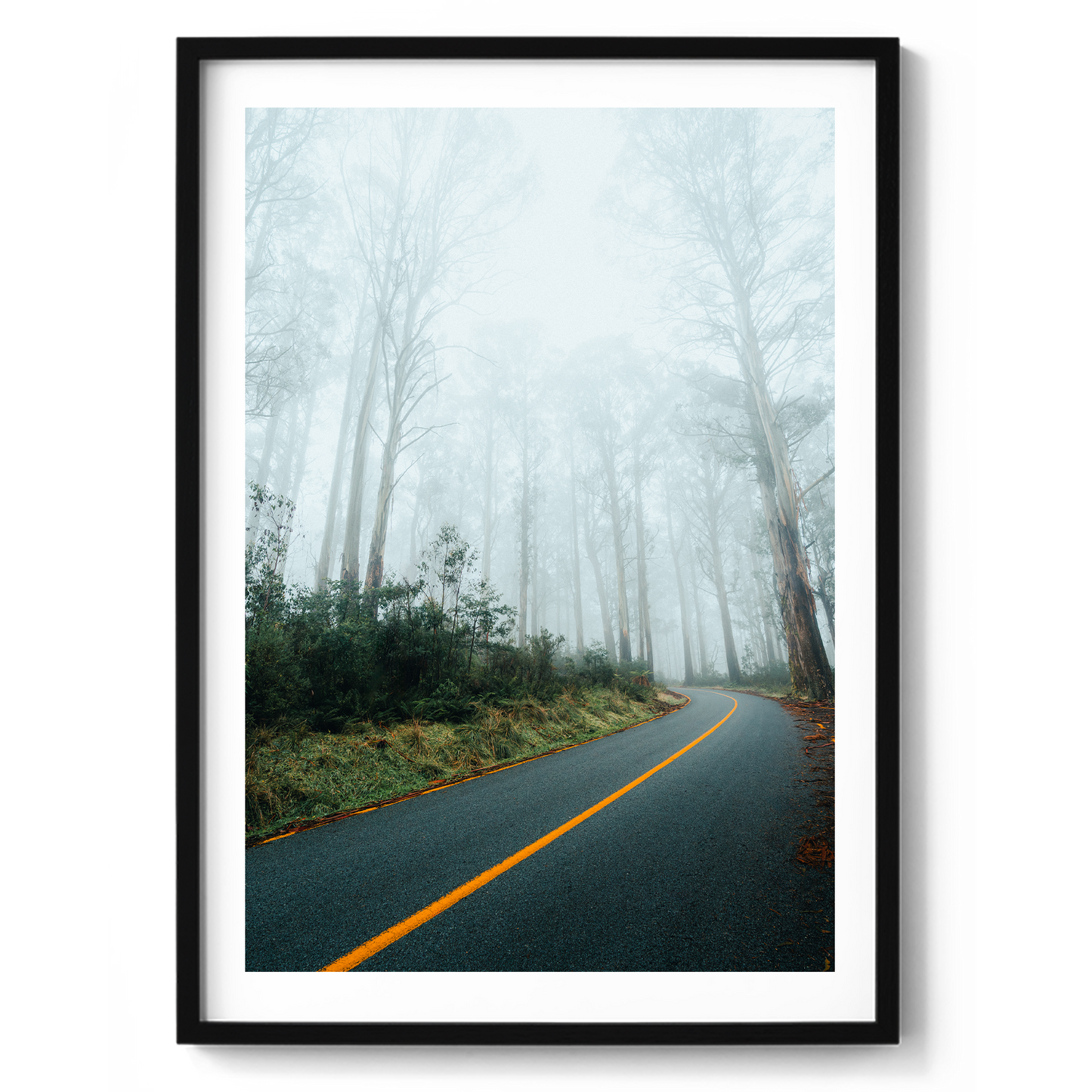 Foggy Road - Marysville Victoria - Wall Art