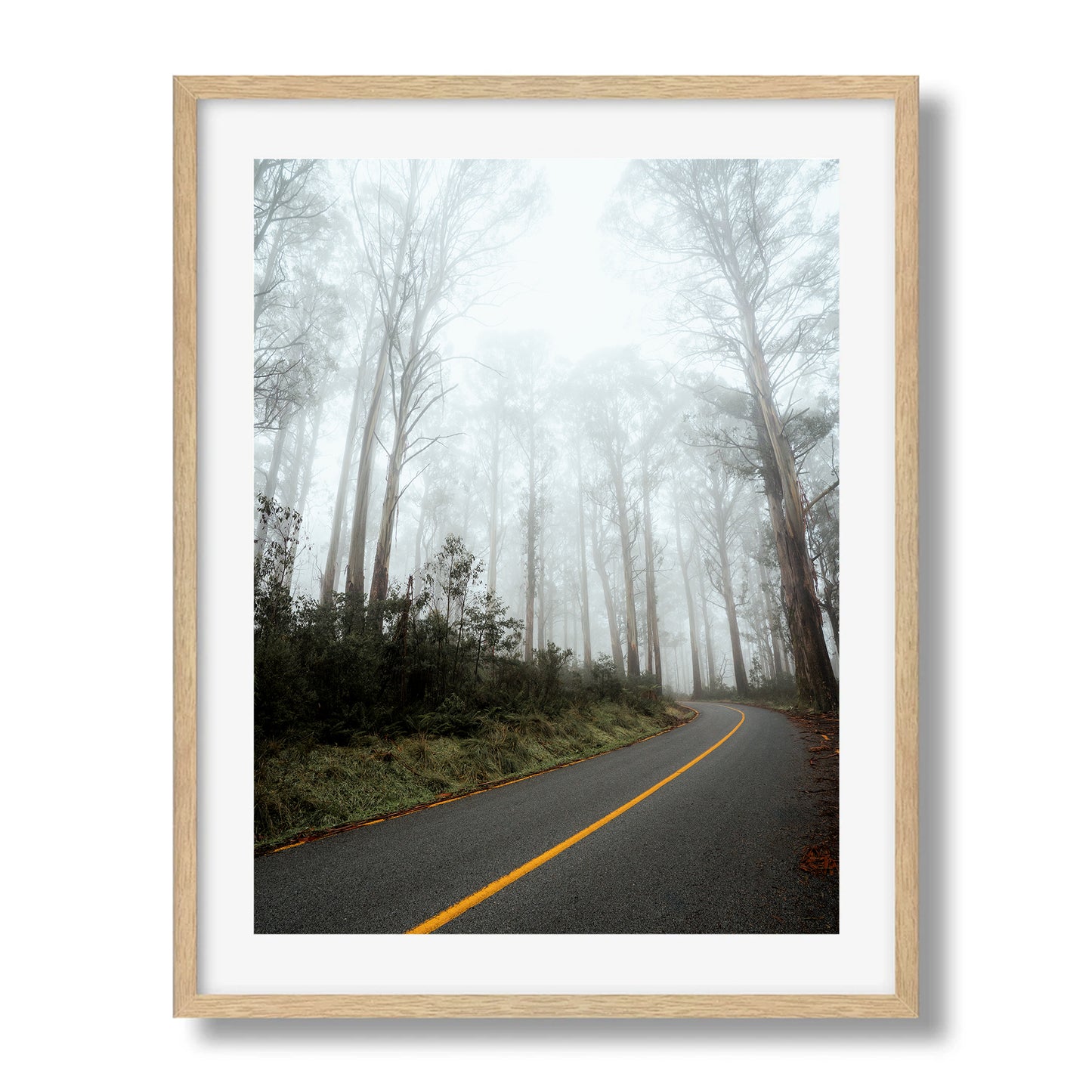 Marysville Foggy Road