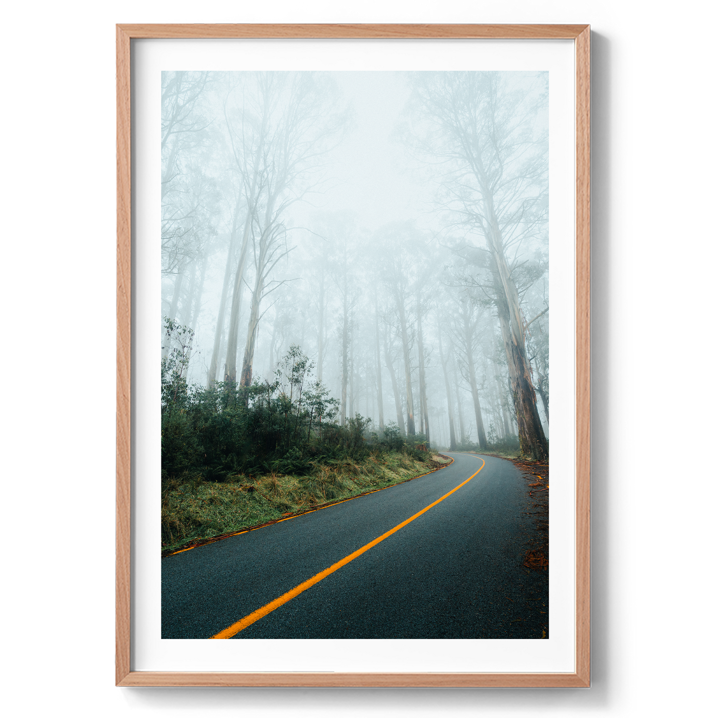 Foggy Road - Marysville Victoria - Wall Art