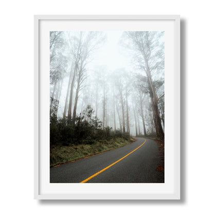 Marysville Foggy Road