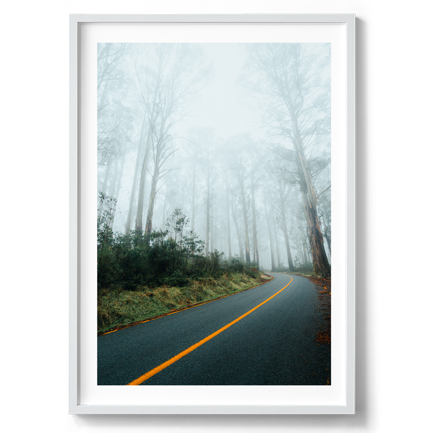 Foggy Road - Marysville Victoria - Wall Art