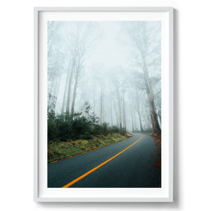 Foggy Road - Marysville Victoria - Wall Art