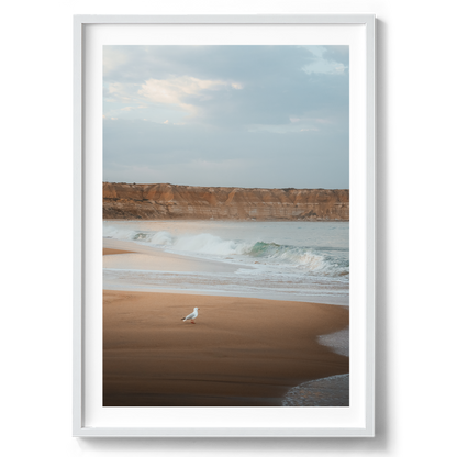 Maslin Beach Wave II - South Australia - Wall Art