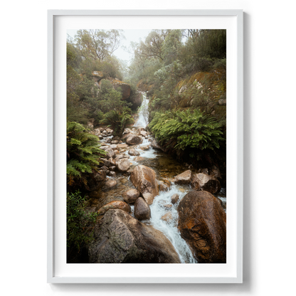 Mt Buffalo Creek - Bright Victoria - Wall Art