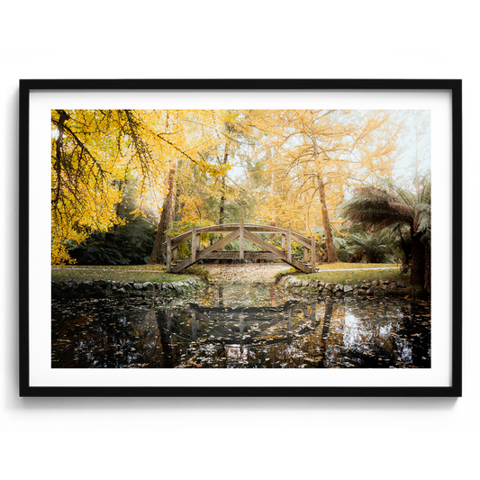 Olinda Mystic Overpass - Victoria - Wall Art