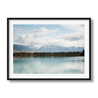 New Zealand Pine Tree Lake