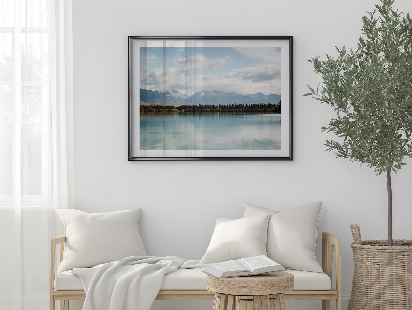 New Zealand Pine Tree Lake