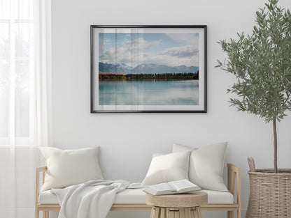 New Zealand Pine Tree Lake