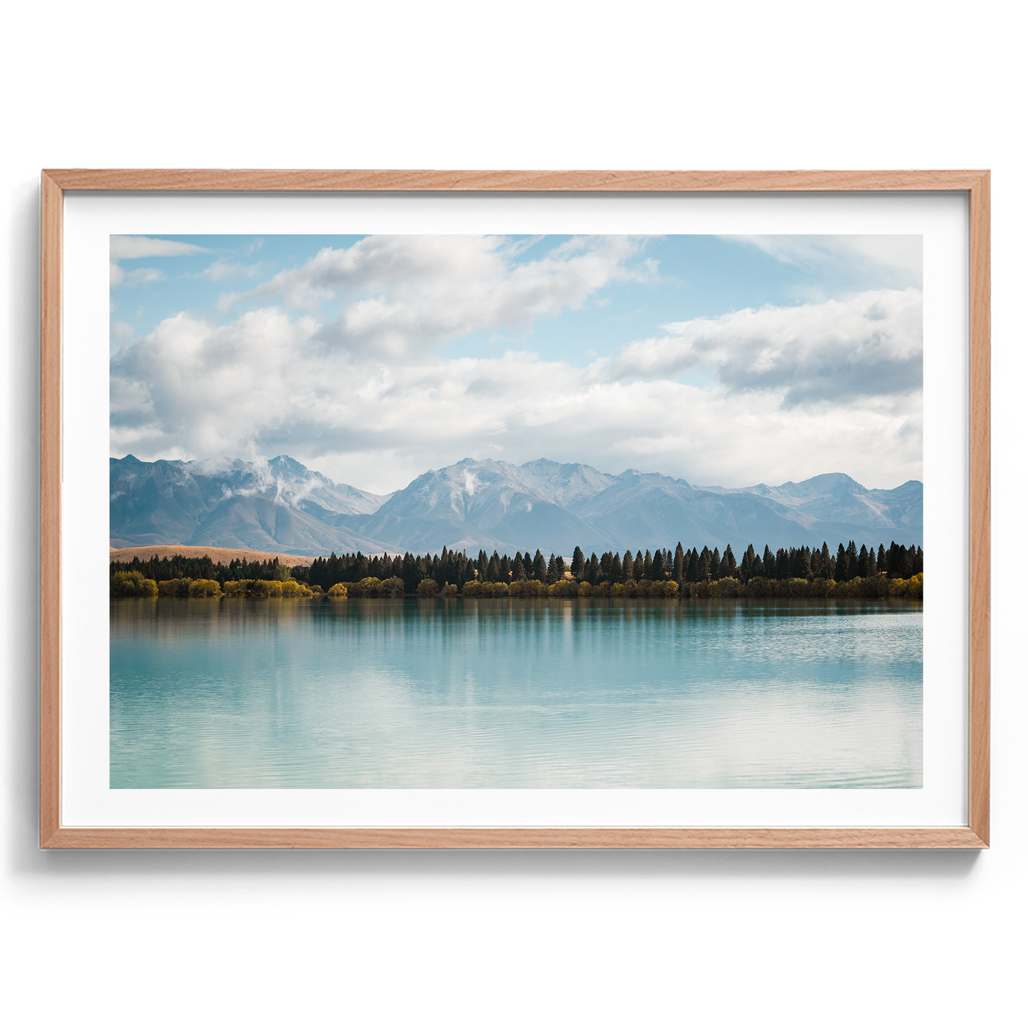 New Zealand - Pine Tree Lake - Wall Art