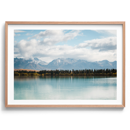 New Zealand - Pine Tree Lake - Wall Art