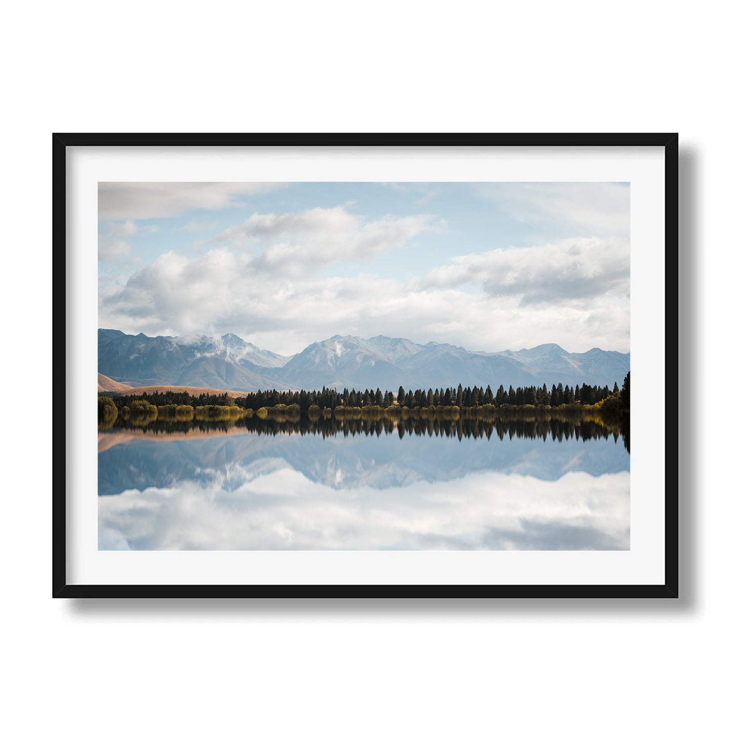 New Zealand Pine Tree Lake Reflection