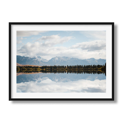 New Zealand Pine Tree Lake Reflection