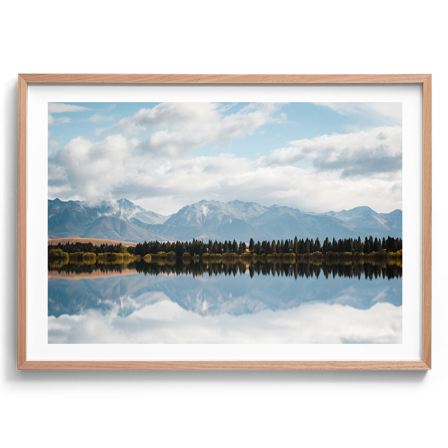 New Zealand - Pine Tree Lake - Wall Art