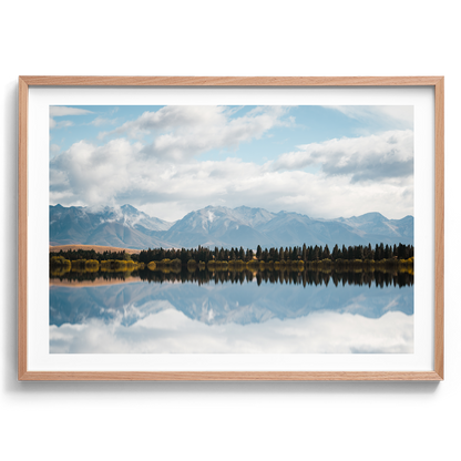 New Zealand - Pine Tree Lake - Wall Art