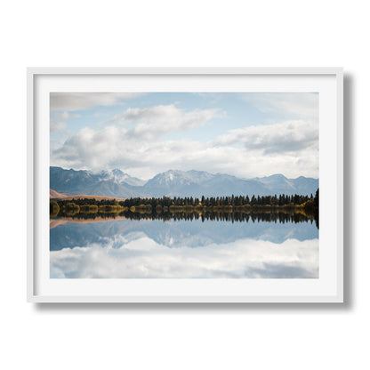 New Zealand Pine Tree Lake Reflection