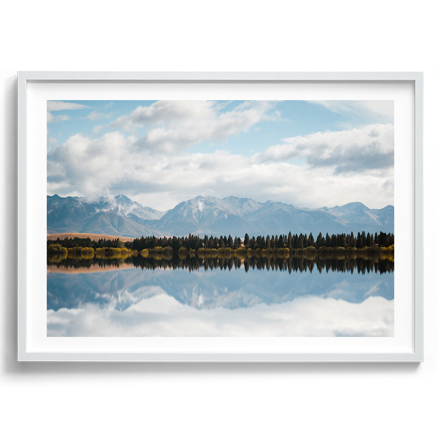 New Zealand - Pine Tree Lake - Wall Art
