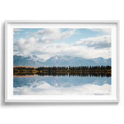 New Zealand - Pine Tree Lake - Wall Art