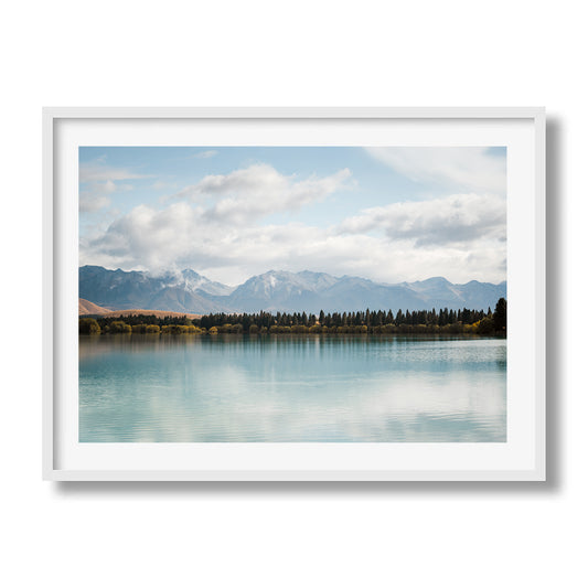 New Zealand Pine Tree Lake