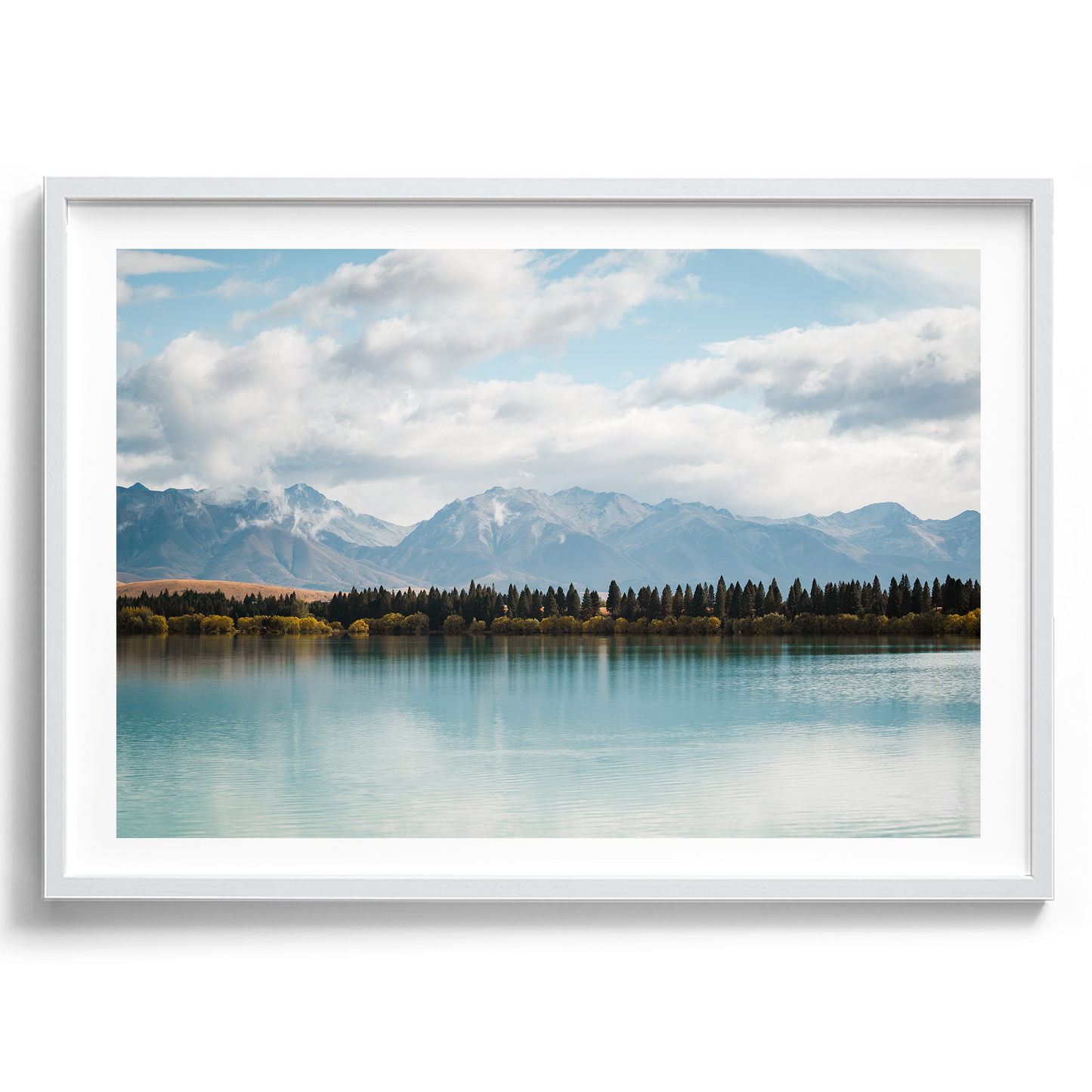 New Zealand - Pine Tree Lake - Wall Art