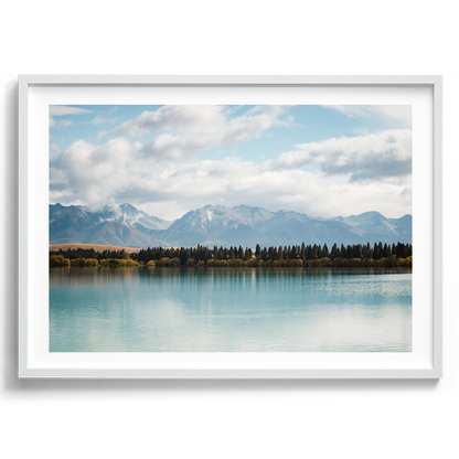 New Zealand - Pine Tree Lake - Wall Art