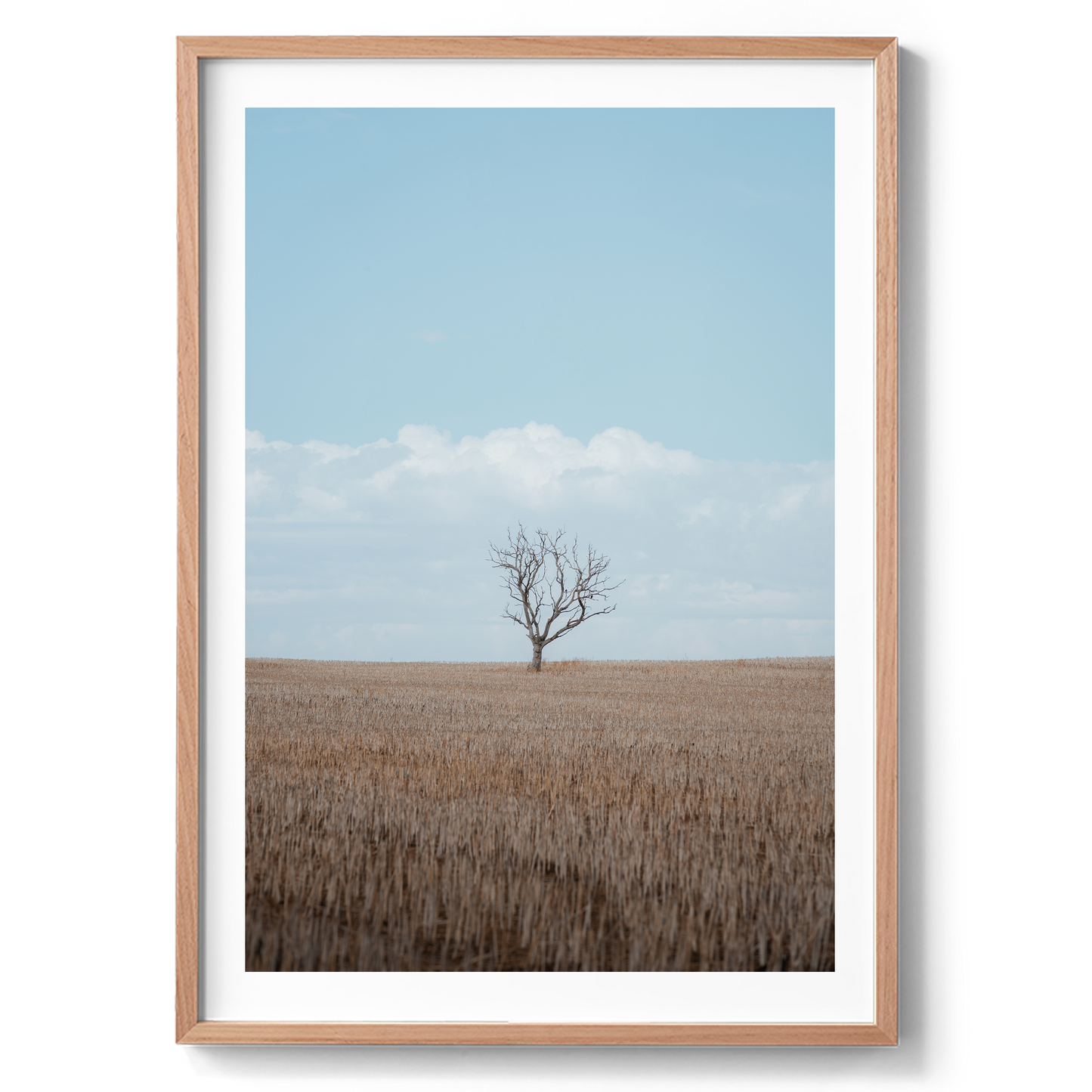 One Tree Field - Wall Art