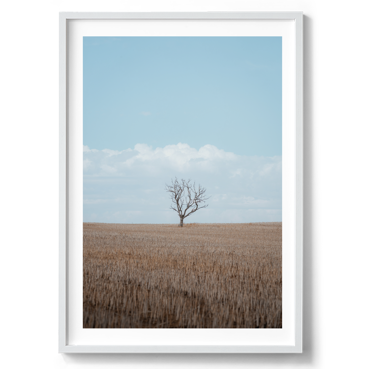One Tree Field - Wall Art