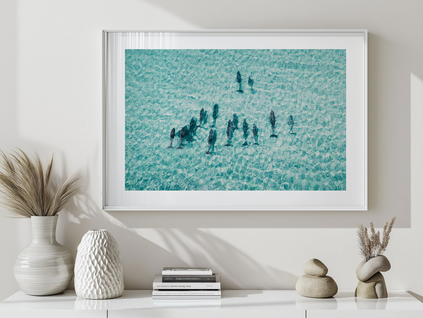 Pod Of Dolphins - South Australia
