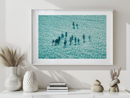 Pod Of Dolphins - South Australia