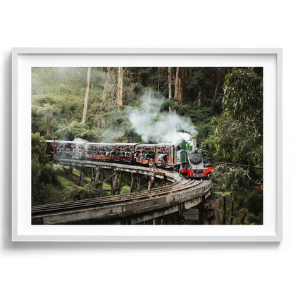 Puffing Billy Trestle Bridge - Selby - Wall Art