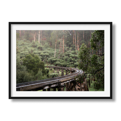 Puffing Billy Trestle Bridge