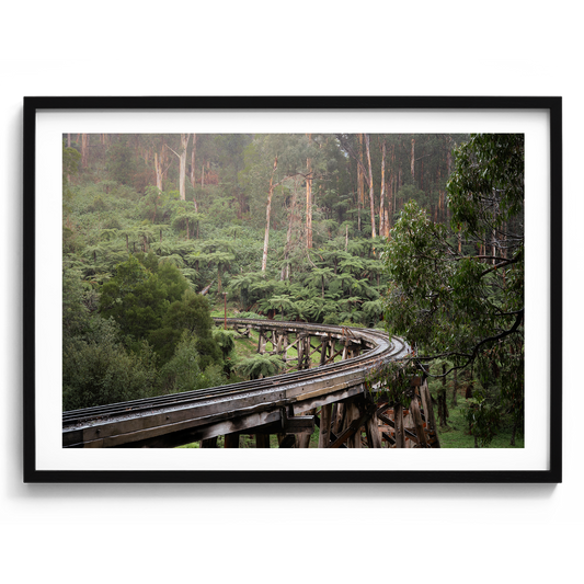 Puffing Billy Trestle Bridge - Victoria - Wall Art