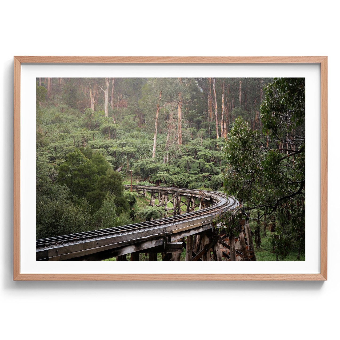 Puffing Billy Trestle Bridge - Victoria - Wall Art