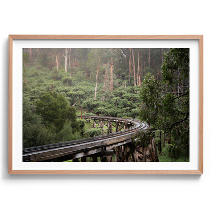 Puffing Billy Trestle Bridge - Victoria - Wall Art