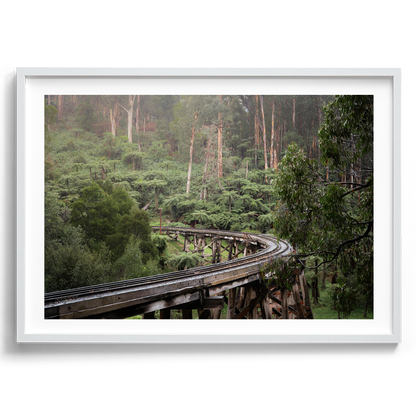 Puffing Billy Trestle Bridge - Victoria - Wall Art