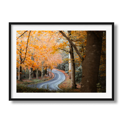 Sherbrooke Autumn Road