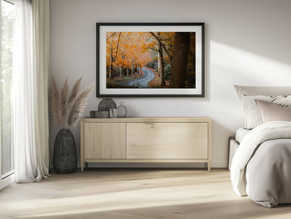 Sherbrooke Autumn Road