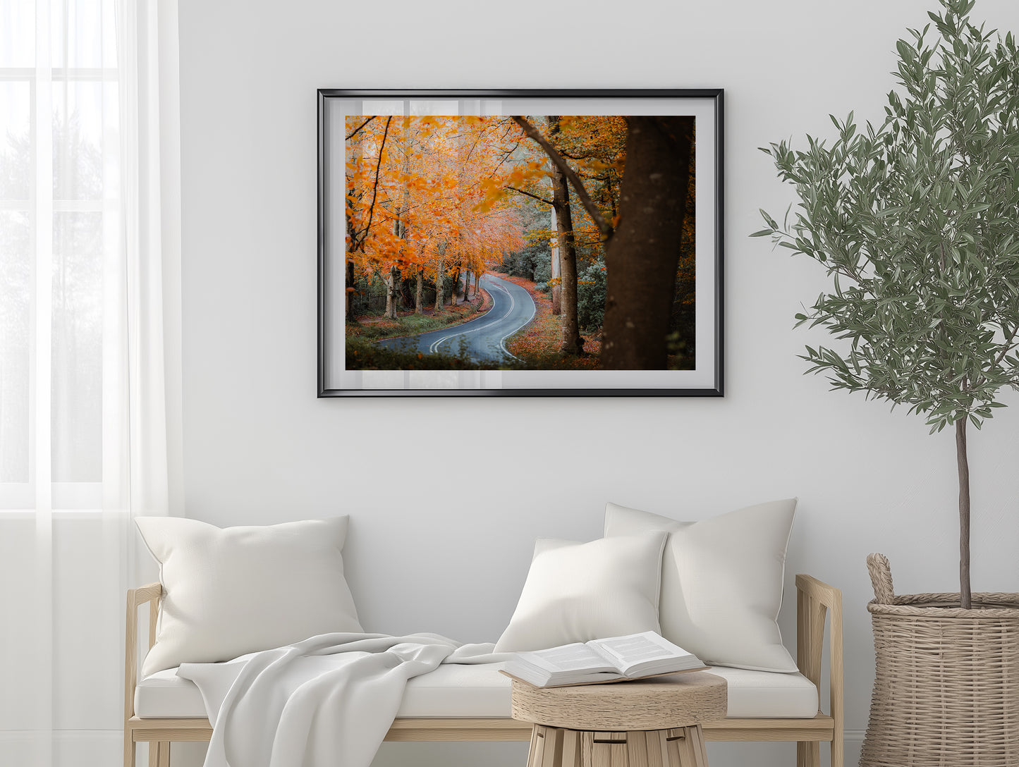 Sherbrooke - Autumn Road - Wall Art
