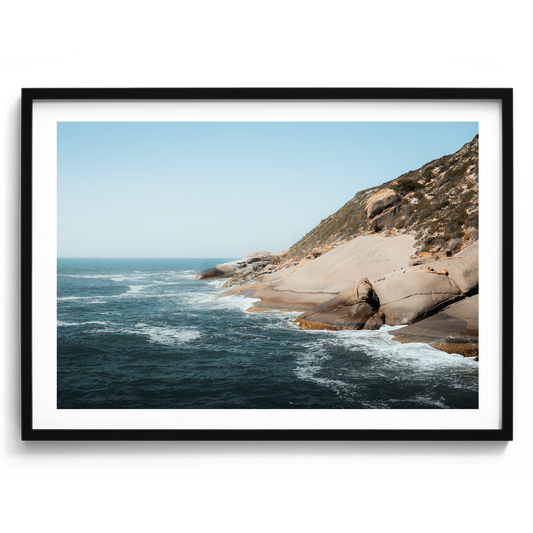 Stenhouse Bay Penguins - South Australia - Wall Art