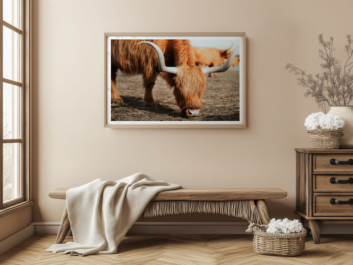 The Hungry Highland Cow - Victoria - Wall Art