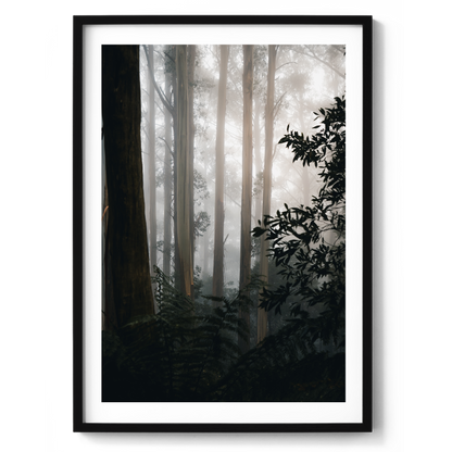 The Painted Forest - Victoria - Wall Art