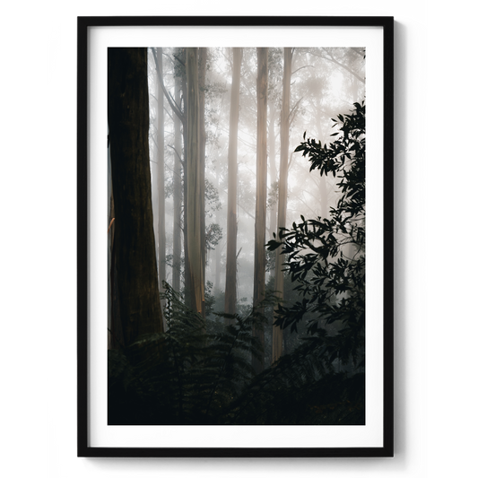 The Painted Forest - Victoria - Wall Art