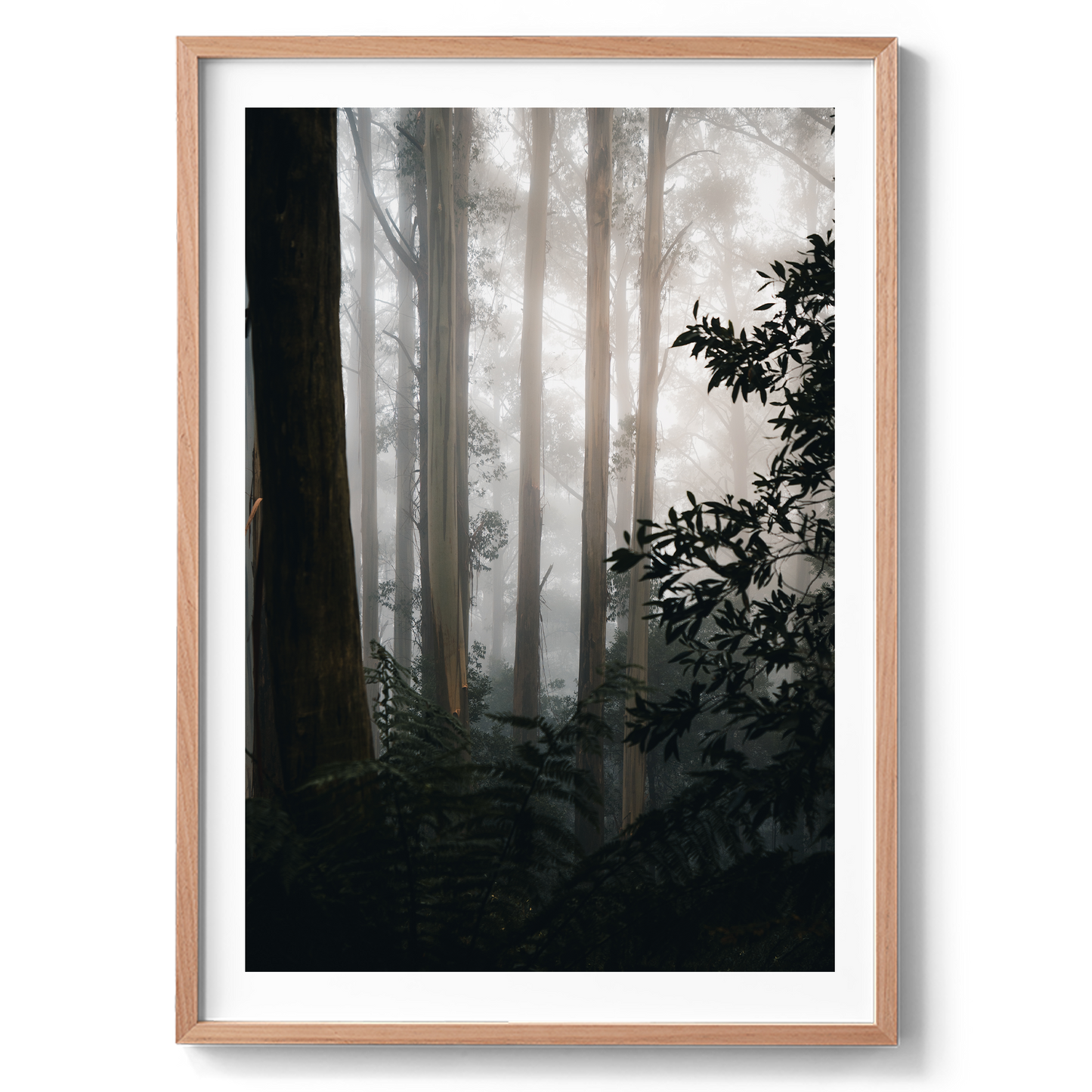 The Painted Forest - Victoria - Wall Art