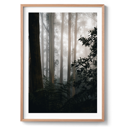 The Painted Forest - Victoria - Wall Art