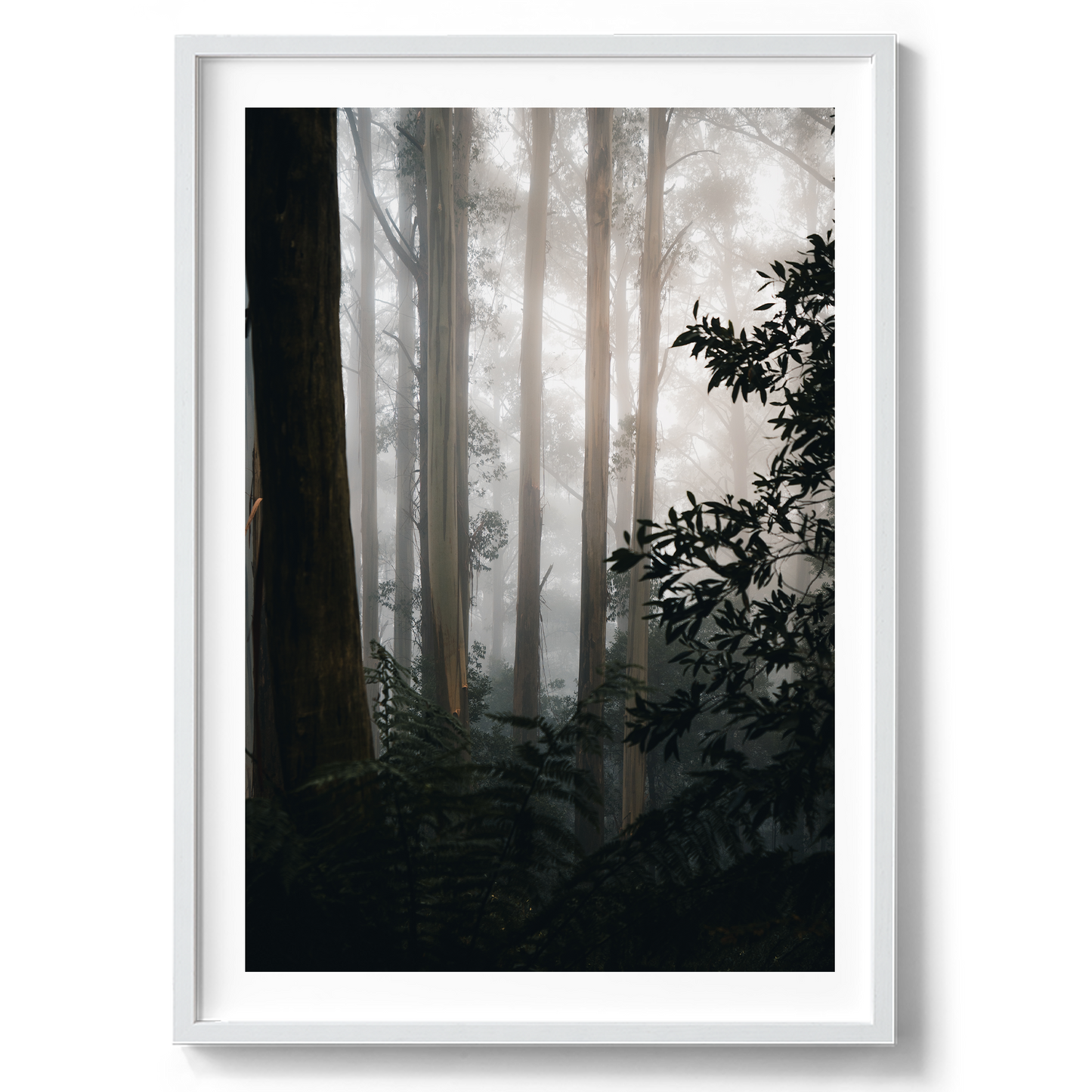 The Painted Forest - Victoria - Wall Art